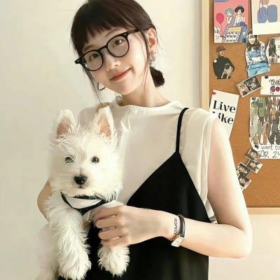 蜜蜂的秘密生活